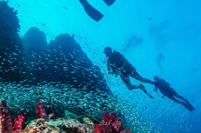 A New Pelorus Travel Tour Lets You Hunt for Sunken Treasure