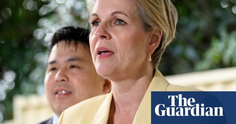 Coalition happy to have quotas for Nationals on frontbench but not for female Liberal MPs, Tanya Plibersek says | Liberal party