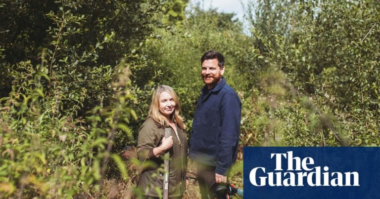 Giving back to the land: an off-grid eco-guesthouse in a ‘quietly radical corner’ of south-west Ireland | Travel