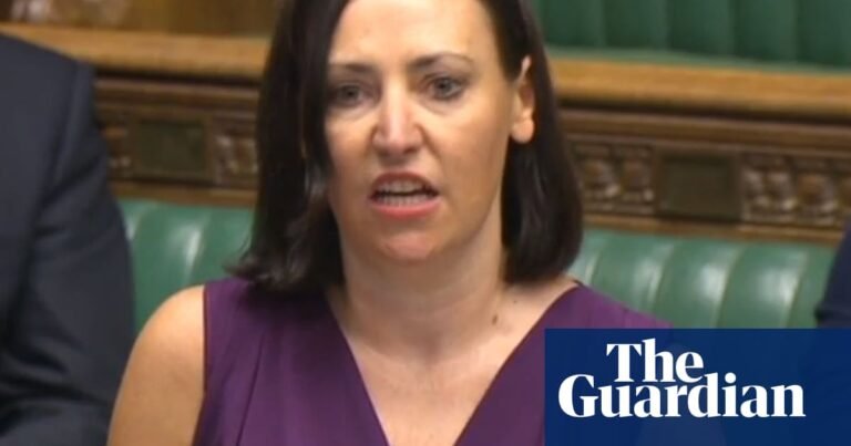 Labour MP resigns as government whip in protest at benefit cuts | Welfare