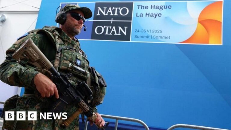 Leaders arrive at Hague summit as Nato chief Rutte flatters Trump