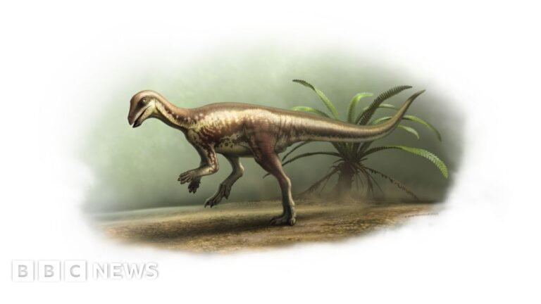 Natural History Museum to display rare dog-sized dinosaur
