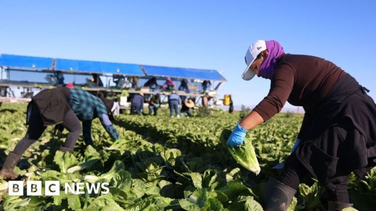 Trump's migrant crackdown has businesses worried