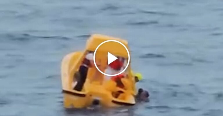 Two Disney Cruise Passengers Rescued After Going Overboard