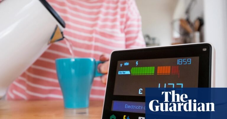 UK energy meter switch-off delayed amid fears over heating and higher bills | Energy bills