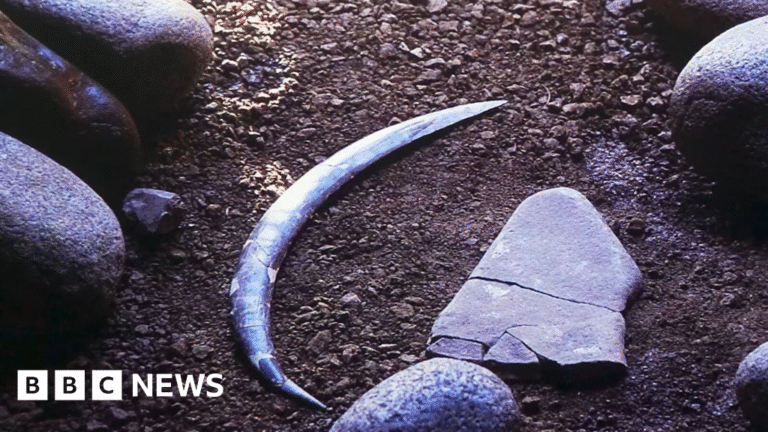 World's oldest boomerang older than thought, but not Australian