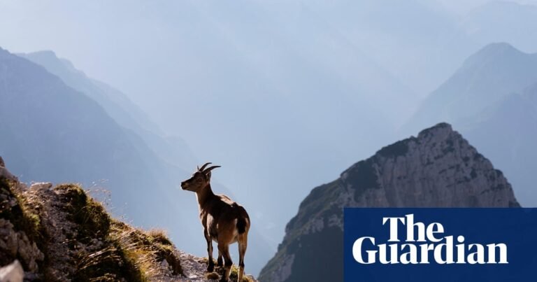 ‘If you love adventure but not tourists’: readers’ favourite wild places in Europe | Europe holidays