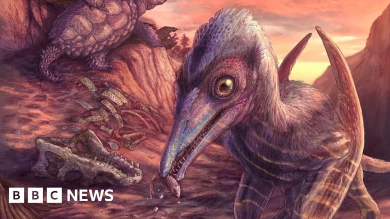 200 million year-old jawbone revealed as new species
