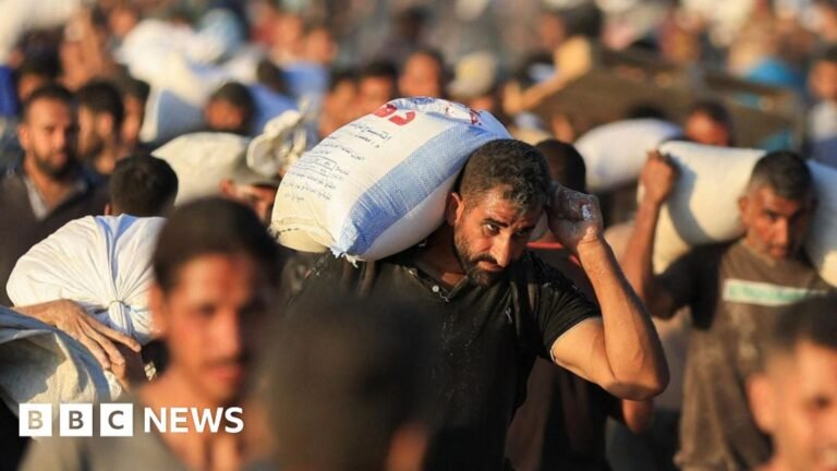 Dozens killed seeking food in Gaza, hospital says, as Witkoff arrives in Israel