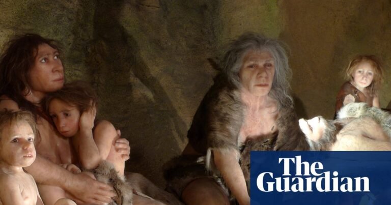 Even Neanderthals had distinct preferences when it came to making dinner, study suggests | Neanderthals