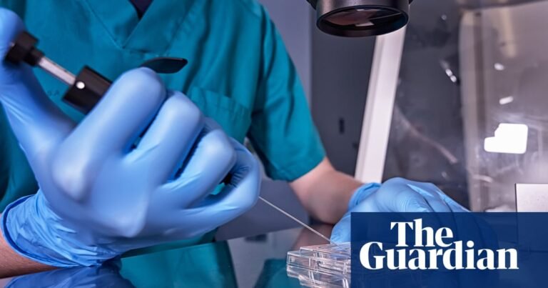 Lab-grown sperm and eggs just a few years away, scientists say | Reproduction