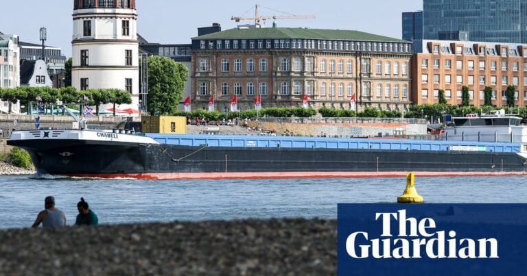 Low water levels push up shipping costs on Europe’s rivers amid heatwave | Shipping industry