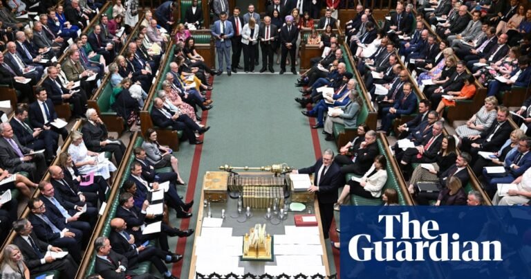 MPs and political candidates face ‘industrial’ levels of abuse, minister says | Politics
