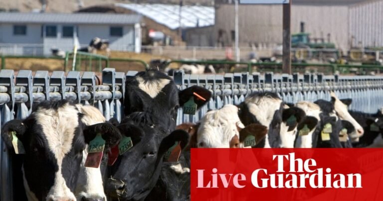 News live: Trump boasts US will ‘sell so much’ beef to Australia; ASX shares fall as volatility set to continue | Australia news