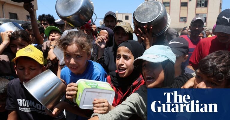 Pope condemns Gaza war’s ‘barbarity’ as 85 reported killed while waiting for food | Israel-Gaza war