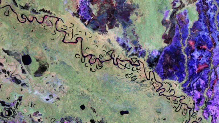 See Earth’s Forests as Never Before in Biomass Satellite’s First Images