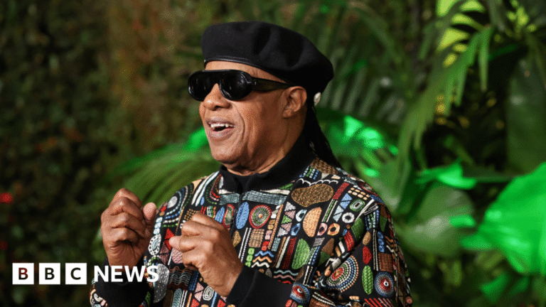 Stevie Wonder and Noah Kahan Cardiff gigs had no planning permission
