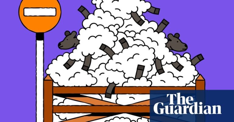 Stop counting sheep – and 13 more no-nonsense tips for getting back to sleep | Sleep