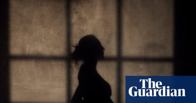 Surrogates at greater risk of new mental illness than women carrying own babies, study finds | Surrogacy