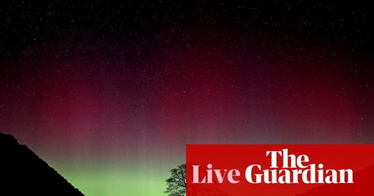 Sycamore Gap pair face sentencing over felling of ancient tree – live updates | UK news