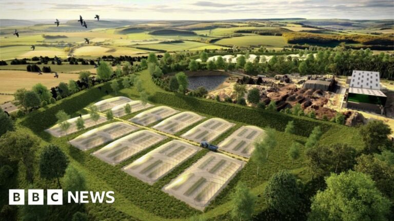 The 'world-first' plan to grow food above a Wiltshire landfill