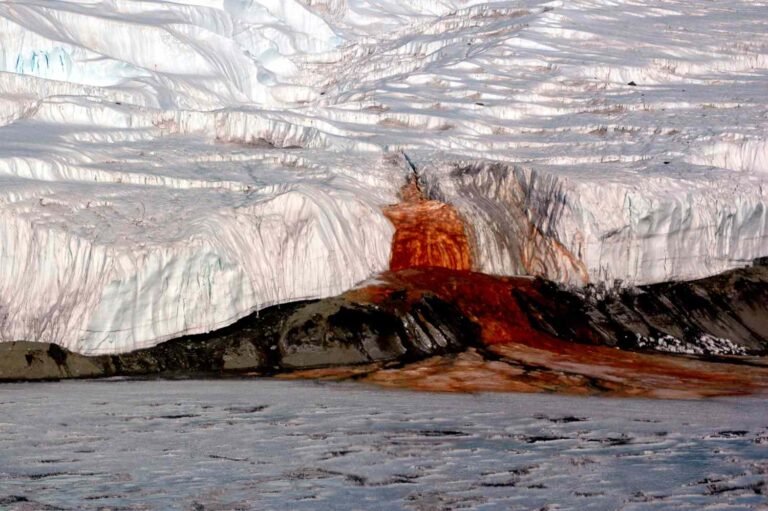 This Enigmatic Natural Phenomenon Creates a Blood-red Waterfall—What to Know