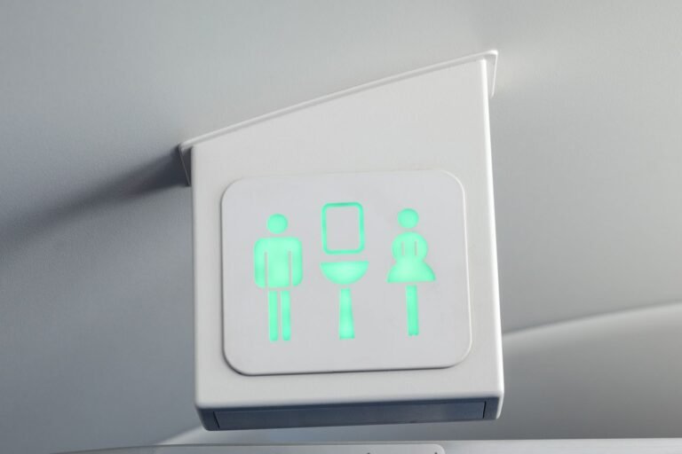 This Is the Best Time to Use the Bathroom on a Plane