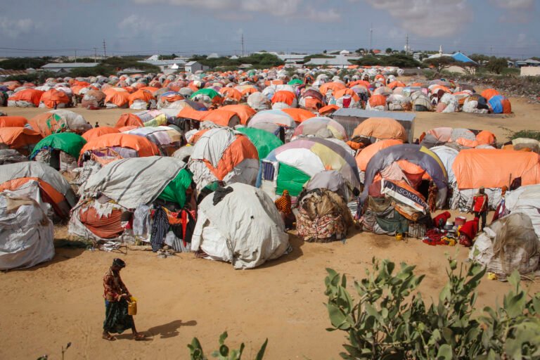UN court: Climate crisis is ‘existential threat’ | Newsfeed