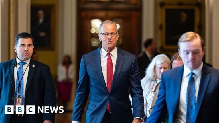US Senate passes $9bn cuts to foreign aid and public broadcasting funds