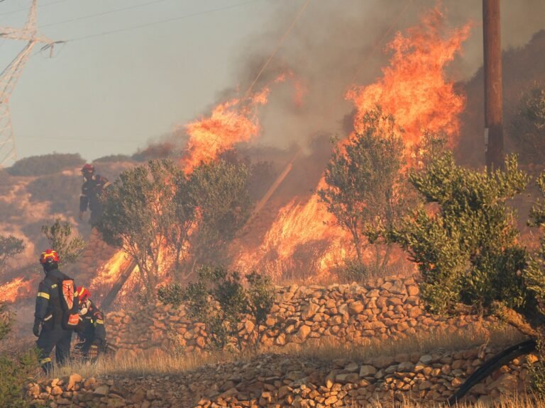 Wildfire on Greek island of Crete forces evacuation of 1,500 | Weather News
