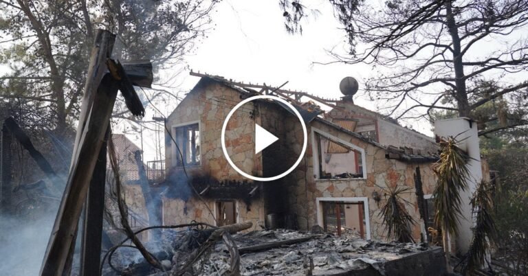 Wildfires Burn in Cyprus as Extreme Heat Grips the Island