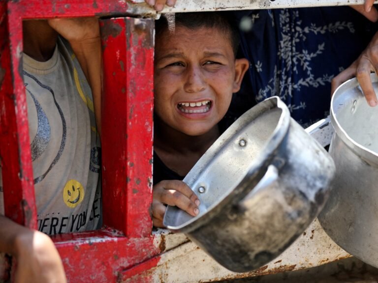 ‘Flour, fire and fear as I try to parent in a starving Gaza’ | Israel-Palestine conflict