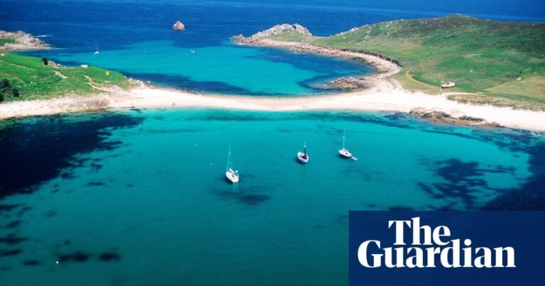 ‘Unlike anywhere else in Britain’: in search of wildlife on the Isles of Scilly | Isles of Scilly holidays