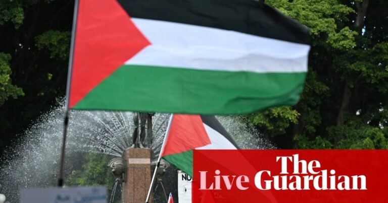 Australia news live: tens of thousands to march across Harbour Bridge for Palestine; woman washed away by flood waters in Hunter | Australia news