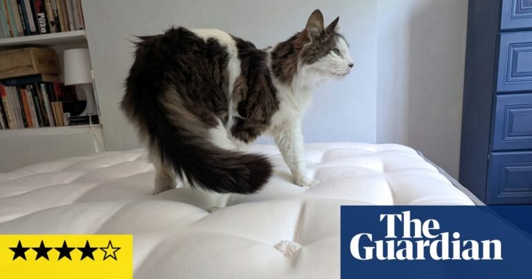 Can the Millbrook Wool Luxury 4000 mattress really keep you cool at night? I slept on it in a heatwave to find out | Sleep