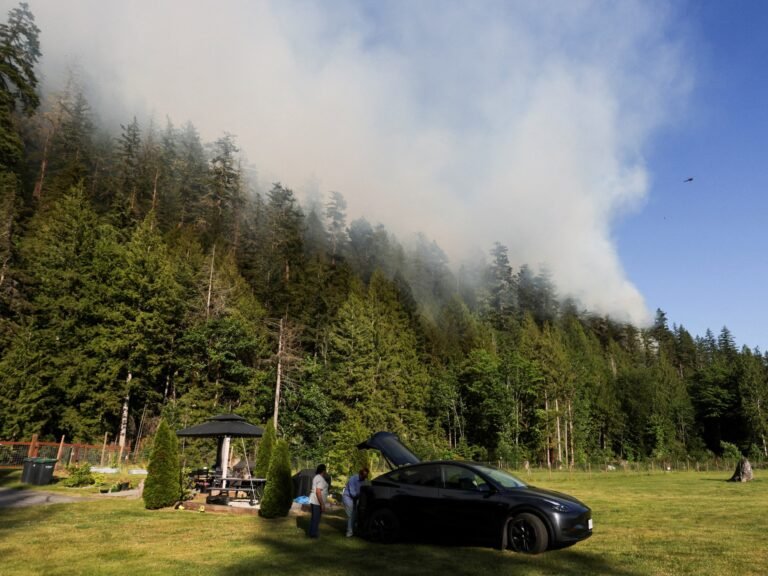 Canadian wildfire smoke triggers air quality alerts in US | Climate Crisis News