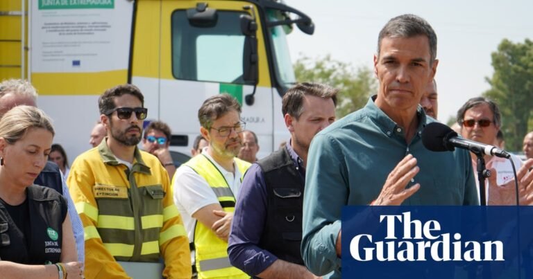 Deadly wildfires show Spain must better prepare for climate crises, says Sánchez | Spain