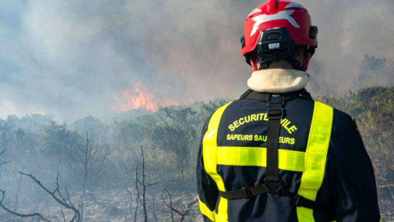 France's largest wildfire in decades brought under control