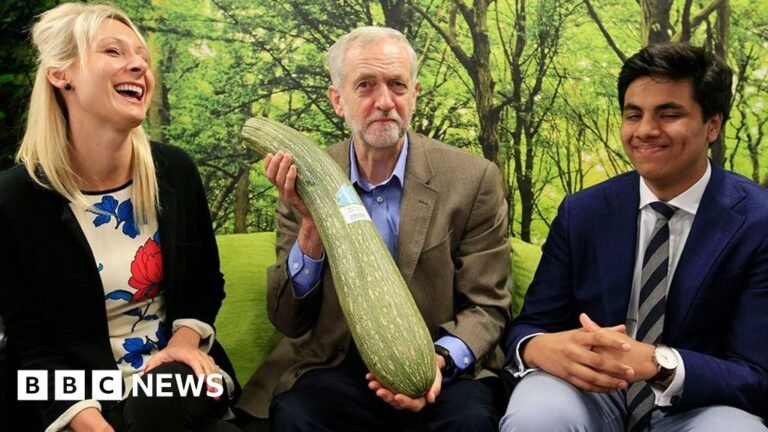 Jeremy Corbyn attacks Angela Rayner for selling off allotments