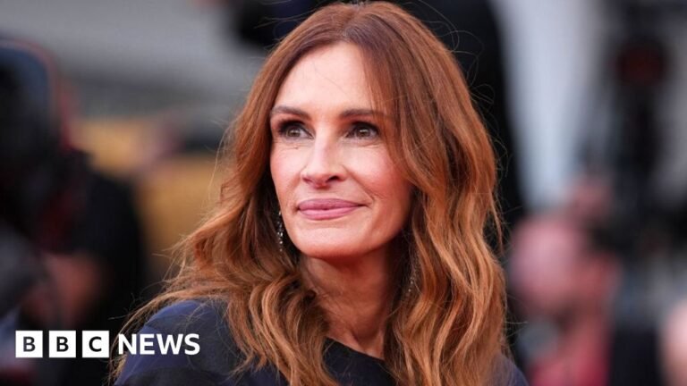 Julia Roberts sexual assault film After The Hunt divides opinion in Venice