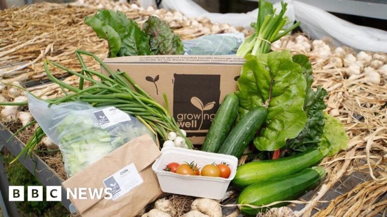 Mid Copeland low income families offered vegetable boxes