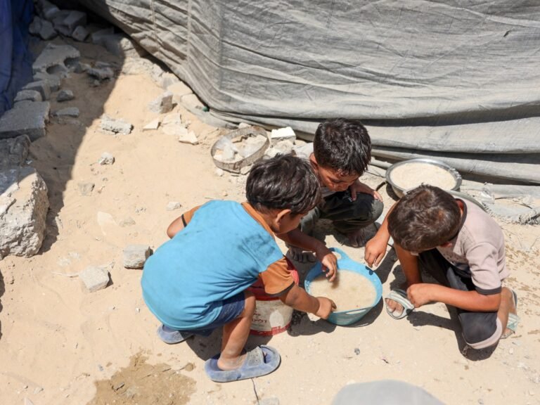 One in three Palestinians in Gaza going days without food, UNICEF says | Israel-Palestine conflict News