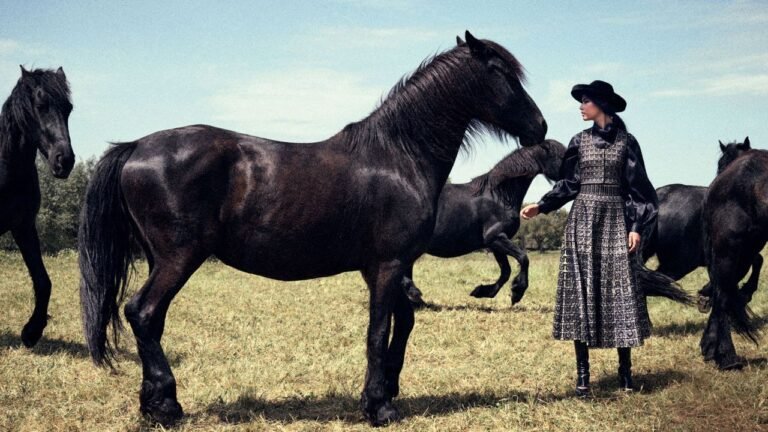 Condé Nast Traveler
