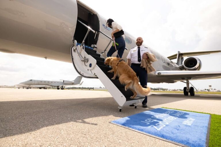 This Airline for Dogs (and Their Humans) Is Expanding Flights Across the U.S. and Europe