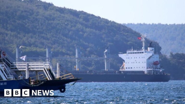 Wildfires force Turkey to shut Dardanelles Strait to shipping