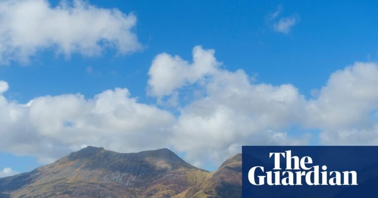 ‘The river becomes an otherworldly bayou’: five of the best paddleboard and kayak adventures in the UK | Canoeing and kayaking holidays