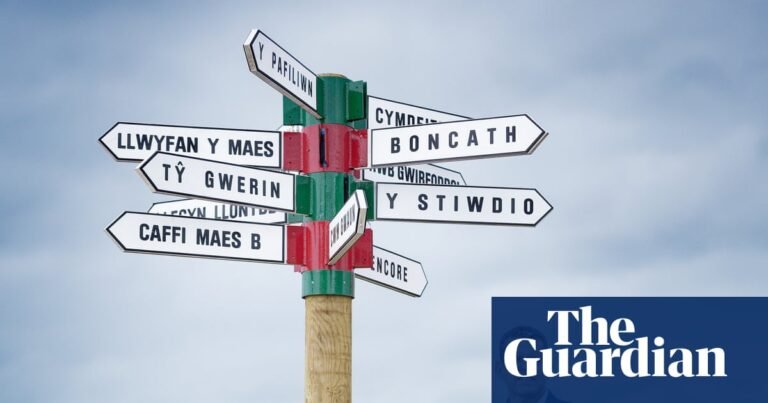 ‘We’re the party of ambition’: Plaid Cymru sets out to topple Labour | Welsh politics