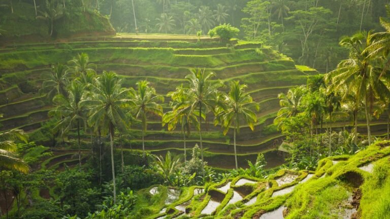 Condé Nast Traveler
