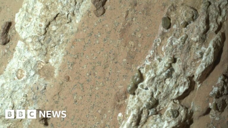 Nasa rover finds rocks on Mars with potential signs of past life