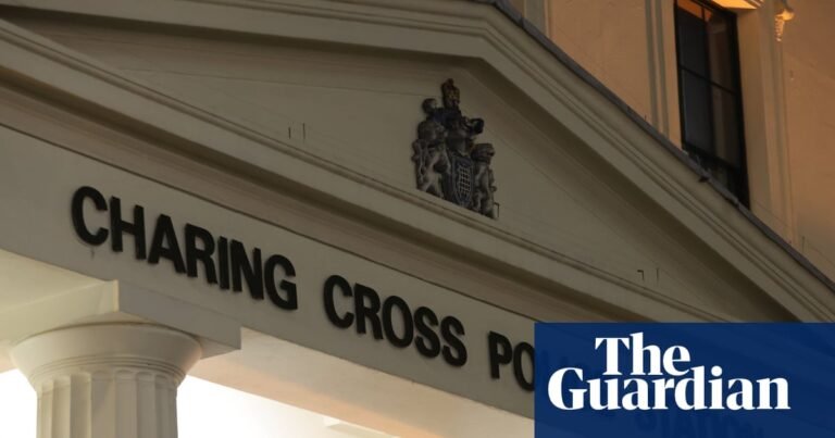 Nine Met police suspended amid inquiry into claims of excessive force | Metropolitan police
